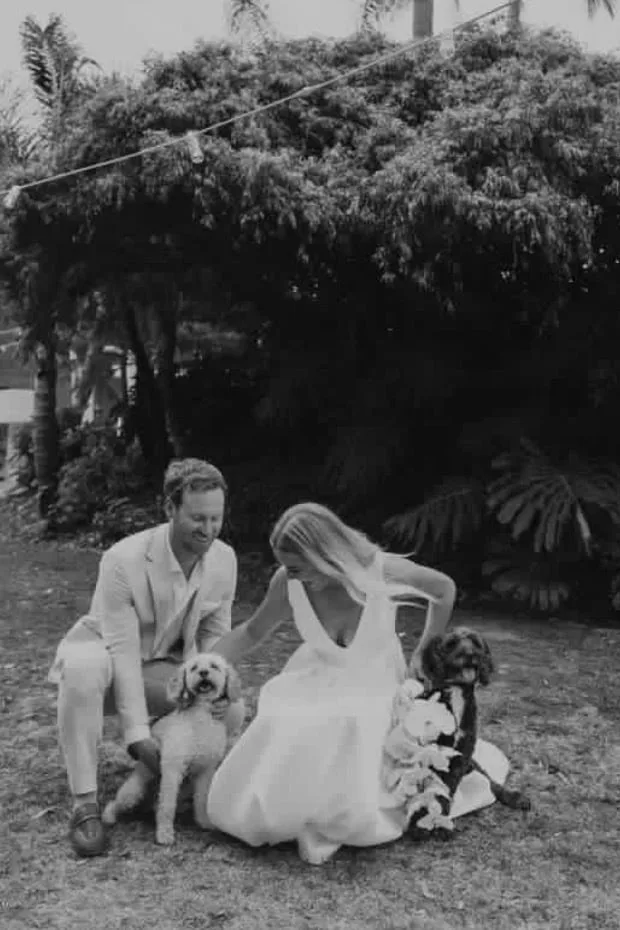 Bailey and Millie, two groomed dogs, photographed at their owners' wedding ceremony — Shabby to Chic regulars